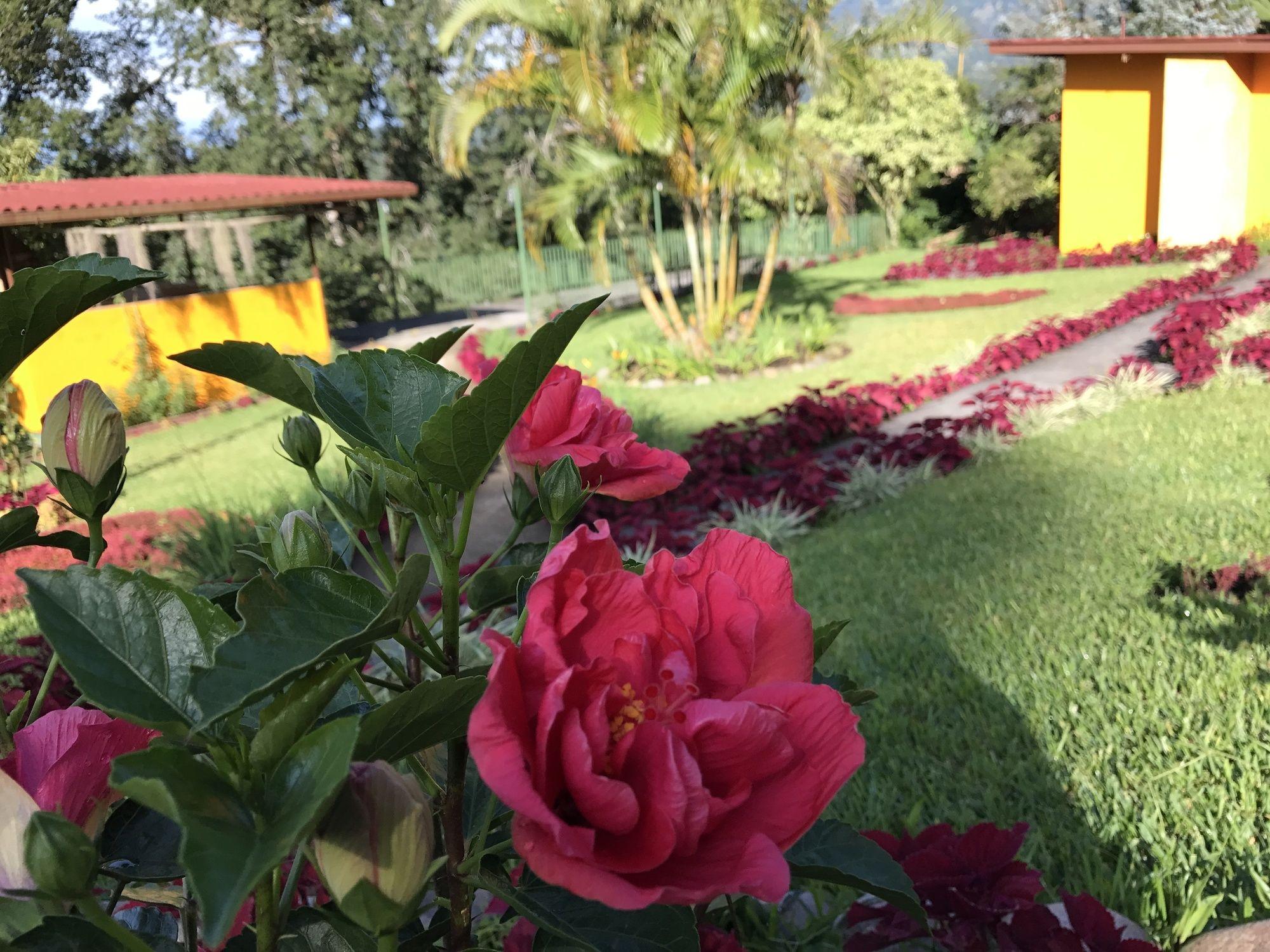 Santuario Lodge Agro-Hotel 下博克特 外观 照片